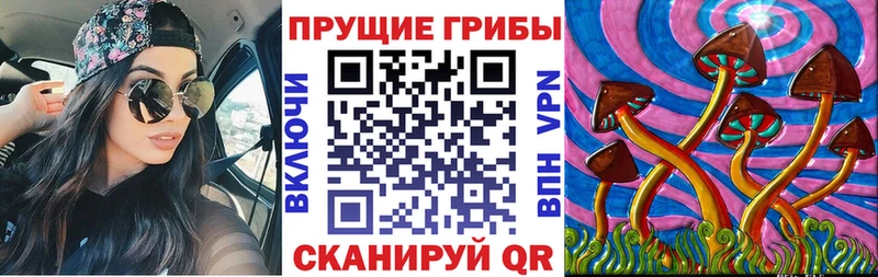 наркошоп  Мезень  Псилоцибиновые грибы GOLDEN TEACHER 